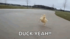 1707491456606.gif