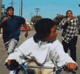 1707531464805.gif