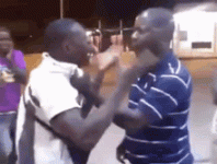 1707579179841.gif