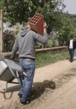 1707627560580.gif