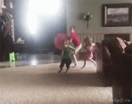 1707629336092.gif