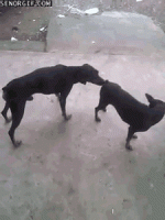 1707834757303.gif