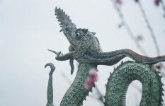 IMG_0175.jpeg