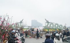 IMG_0171.jpeg