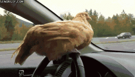 1707872605861.gif