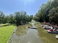 IMG_9516.jpeg