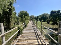 IMG_9528.jpeg