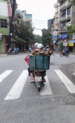 IMG_0344.jpeg