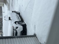 IMG_6403.jpeg