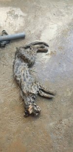 IMG_0346.jpeg