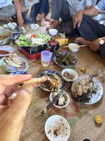 IMG_0348.jpeg