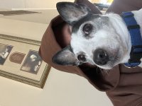 IMG_6423.jpeg