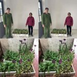 IMG_0479.jpeg