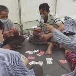 IMG_0558.jpeg