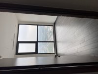 IMG_0597.jpeg