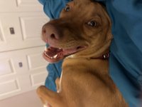 IMG_2010.jpeg