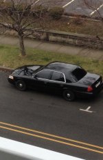 IMG_1383.jpeg