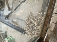 IMG_0947.jpeg