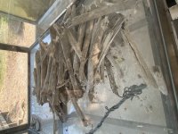 IMG_0948.jpeg