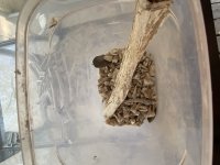 IMG_0949.jpeg