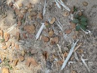 IMG_0940.jpeg