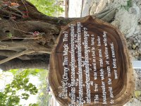 IMG_0952.jpeg