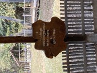 IMG_0936.jpeg