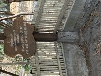 IMG_0938.jpeg
