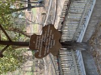 IMG_0944.jpeg
