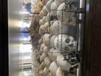 IMG_0972.jpeg