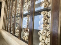 IMG_0956.jpeg