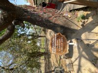 IMG_0945.jpeg