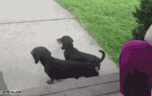 1709243730641.gif