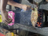 IMG_1126.jpeg