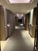 IMG_1131.jpeg