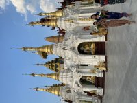 IMG_1224.jpeg