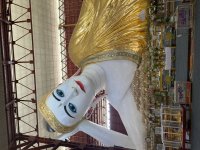 IMG_1173.jpeg