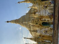 IMG_1213.jpeg