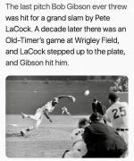 IMG_1375.jpeg