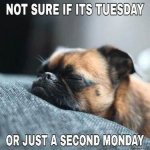tuesday.jpg