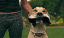 1709744509871.gif