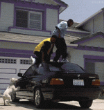 1710013563462.gif