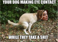 1651248985528.png