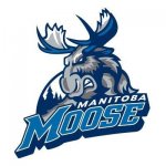 Manitoba Moose.jpg