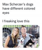 1654393100604.jpeg