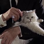 Blofeld_(Dawson-Pohlmann)_-_Profile.jpg