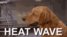 1654962952990.gif