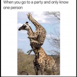 1710952446785.png