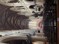 IMG_2141.jpeg