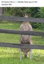 IMG_2277.jpeg
